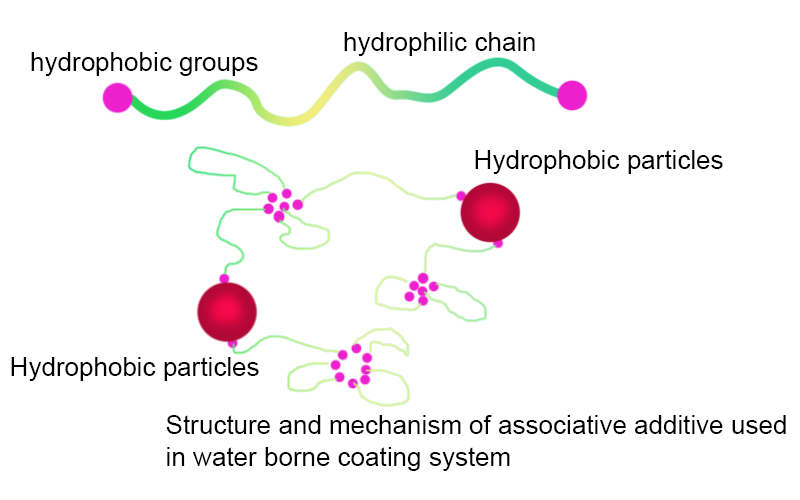 Structure and mechanism of associative additive used in water borne coating system